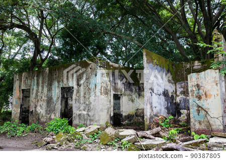Remains of the destroyed houses of the Armero Town covered by trees and nature after 37 years of the tragedy caused by the Nevado del Ruiz Volcano in 1985 90387805
