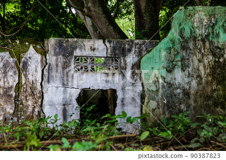 Remains of the destroyed houses of the Armero Town covered by trees and nature after 37 years of the tragedy caused by the Nevado del Ruiz Volcano in 1985 90387823