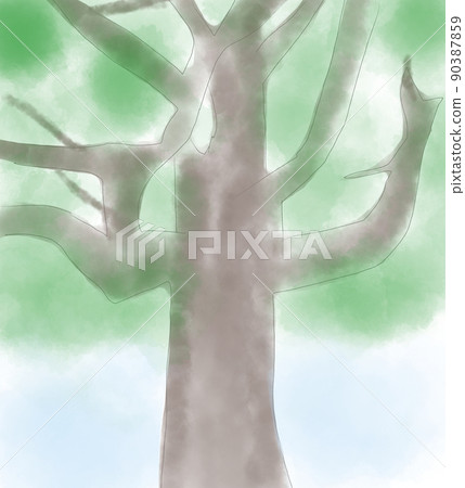 Large tree thick trunk branch illustration Large tree thick trunk branch illustration 90387859