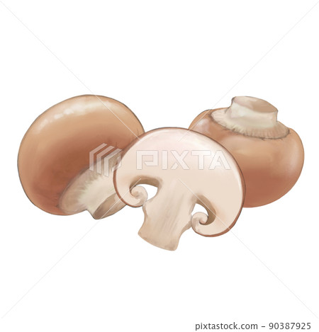 棕色蘑菇的逼真插圖素材 棕色蘑菇的逼真插圖素材 90387925