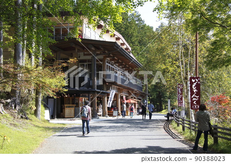 三峰神社（埼玉縣秩父市） 90388023