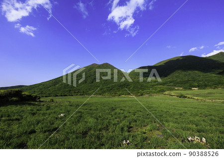 《Kuju Mountain Range, Oita Prefecture》 Hijidake and Miyama Kirishima, which are fresh green from the vine 90388526