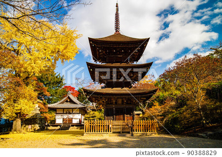 Autumn Shinshu Ueda Autumn leaves Shioda Plain (Kamakura, Shinshu) Zensanji Temple 90388829