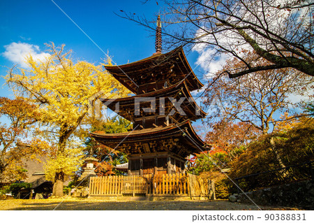 Autumn Shinshu Ueda Autumn leaves Shioda Plain (Kamakura, Shinshu) Zensanji Temple 90388831