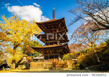 Autumn Shinshu Ueda Autumn leaves Shioda Plain (Kamakura, Shinshu) Zensanji Temple 90388832