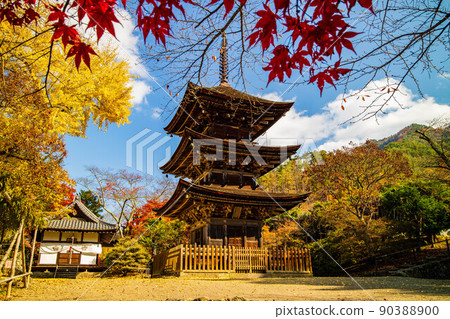Autumn Shinshu Ueda Autumn leaves Shioda Plain (Kamakura, Shinshu) Zensanji Temple 90388900