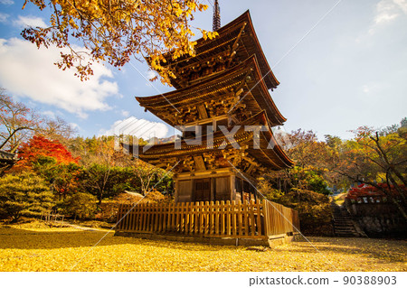 Autumn Shinshu Ueda Autumn leaves Shioda Plain (Kamakura, Shinshu) Zensanji Temple 90388903