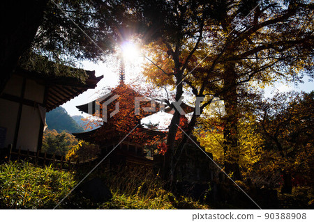 Autumn Shinshu Ueda Autumn leaves Shioda Plain (Kamakura, Shinshu) Zensanji Temple 90388908