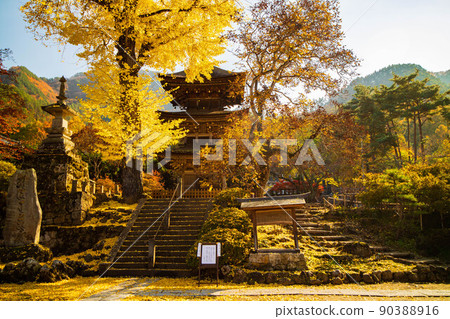 Autumn Shinshu Ueda Autumn leaves Shioda Plain (Kamakura, Shinshu) Zensanji Temple 90388916