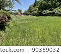 Grass field 90389032
