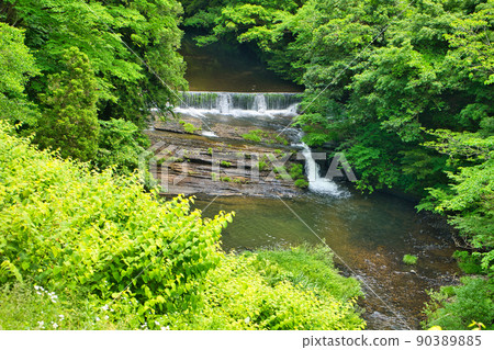 富山縣高岡市福岡町初夏瀧澤第5名 富山縣高岡市福岡町初夏瀧澤第5名 90389885
