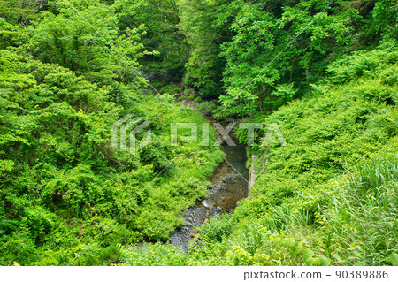 富山縣高岡市福岡町初夏瀧澤第5名 90389886