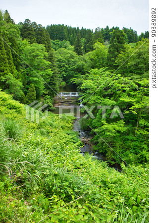 富山縣高岡市福岡町初夏瀧澤第5名 90389892
