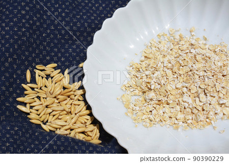 左“像貓一樣的貓草種子（燕麥種子）”，右“人類用燕麥片（加工燕麥食品），圖像材料 90390229