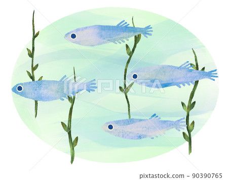 帶有手寫感覺的水彩風格 鱂魚在水中與背景的藻類一起游泳的插圖 帶有手寫感覺的水彩風格 鱂魚在水中與背景的藻類一起游泳的插圖 90390765