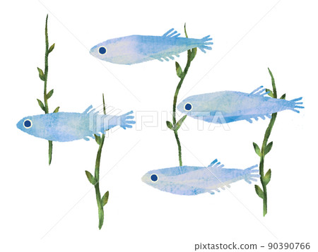 帶有手寫感覺的水彩風格在藻類白色背景中游動的鱂魚插圖 帶有手寫感覺的水彩風格在藻類白色背景中游動的鱂魚插圖 90390766