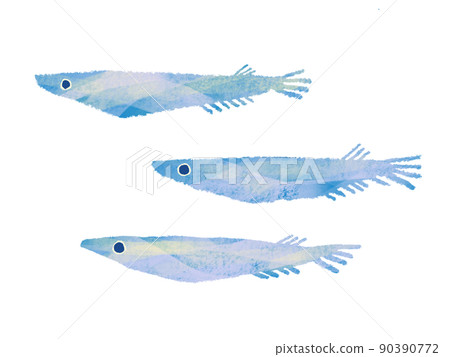 具有手寫感覺的水彩風格在一組 3 個白色背景中游泳的鱂魚插圖 具有手寫感覺的水彩風格在一組 3 個白色背景中游泳的鱂魚插圖 90390772