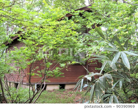 Forest house 90390969