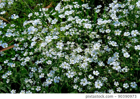 Flower garden Flower garden 90390973