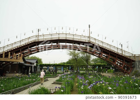 Ayame garden 90391673
