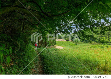 從綠意盎然的高取町到喜多拉古墳塚明神古墳、春日神社和岡宮天皇陵的道路 2022 年 5 月 25 日 從綠意盎然的高取町到喜多拉古墳塚明神古墳、春日神社和岡宮天皇陵的道路 2022 年 5 月 25 日 90391740