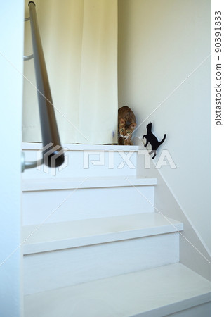 Bengal with an innocent face with a very beautiful leopard print 90391833