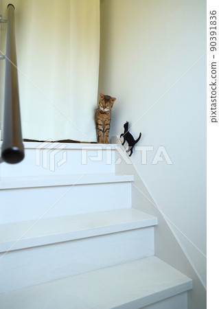 孟加拉，一張天真無邪的臉，印著非常漂亮的豹紋 90391836