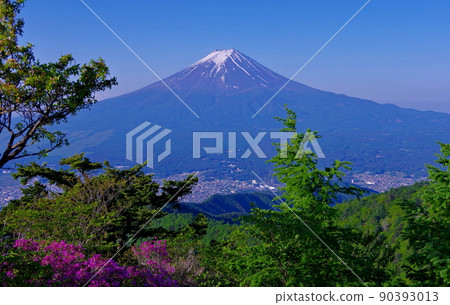 20220602 Mt. Fuji in the morning from the summit of Mitsutoge 90393013