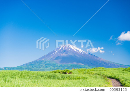 (Shizuoka) Meadow and Mt. Fuji 90393123