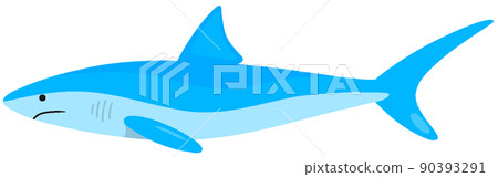 Blue shark Blue shark 90393291