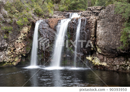 Pencil Pine Falls, Tasmania, Australia Pencil Pine Falls, Tasmania, Australia 90393950