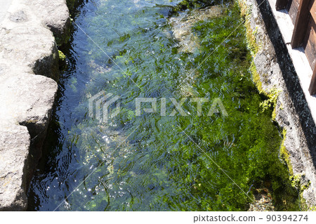 Waterway in the town where carps swim Waterway in the town where carps swim 90394274