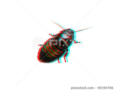 Huge madagascar hissing cockroach crawls on white table, glitch effect 90394766