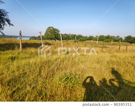 Shadow of tourists on a safari in a tropical forest in a national park in India 90395351