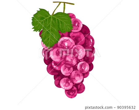 PNG水果秋葡萄葡萄紅洋紅色葉真 90395632