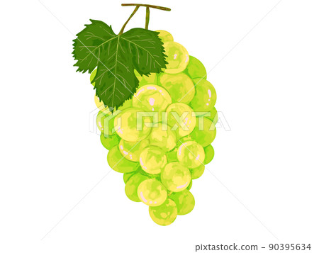PNG水果秋葡萄葡萄麝香白葉真果 PNG水果秋葡萄葡萄麝香白葉真果 90395634