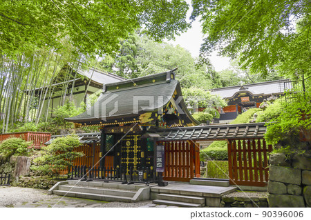 新鮮的綠色Zuiho 90396006