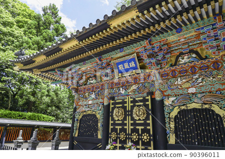 新鮮的綠色Zuiho 90396011