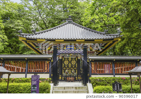 Fresh green Zuiho 90396017