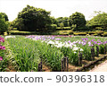 Iris garden 90396318