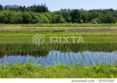 Beautiful scenery of Hiruyama Plateau in Maniwa City, Okayama Prefecture, Japan Beautiful scenery of Hiruyama Plateau in Maniwa City, Okayama Prefecture, Japan 90397880