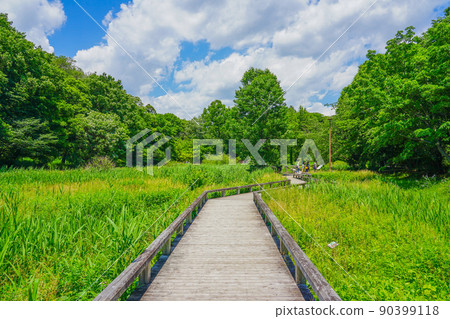 Jindai Botanical Garden / Aquatic Botanical Garden Iris Garden (Chofu City, Tokyo) 90399118