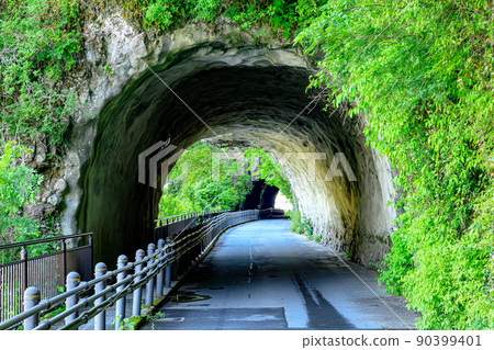 Aonodomon in early summer, Yabakei, Nakatsu City, Oita Prefecture 90399401