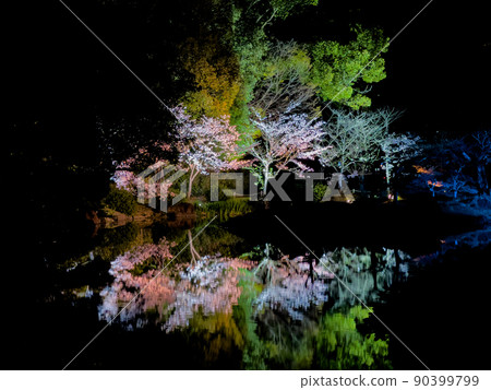 栗林庭園春季燈飾 栗林庭園春季燈飾 90399799