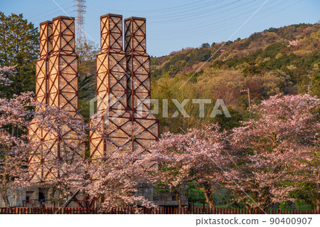（靜岡縣）世界遺產、韭山反射爐、櫻花季 90400907