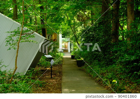 Alley to the store Alley to the store 90401860