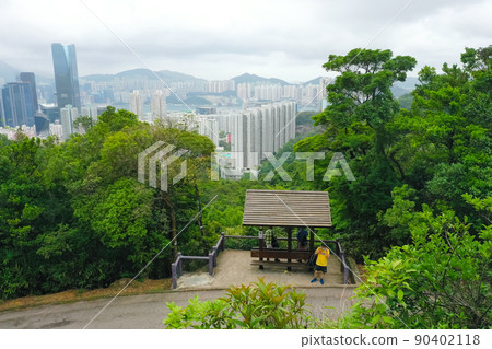 the landscape of Tai Tam Country Park Quarry Bay Extension Section 5 June 2022 the landscape of Tai Tam Country Park Quarry Bay Extension Section 5 June 2022 90402118
