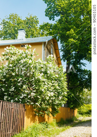 Beautiful street with old wooden houses and blooming lilac in old town of Porvoo Beautiful street with old wooden houses and blooming lilac in old town of Porvoo 90403105