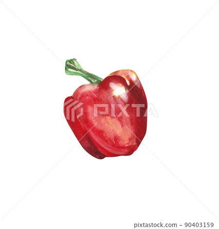 Watercolor vegetables. Red pepper. Sweet pepper. Watercolor illustration on a white background. Hand drawn isolated fresh red pepper paprika. Design greeting card, towel, wallpaper, packaging,apron 90403159