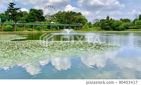 Water mirror of blue sky and clouds [Minami Park Mitagane Pond/Okazaki City, Aichi Prefecture] 90403417